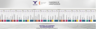 Icono de Cuadernos de Jurisprudencia